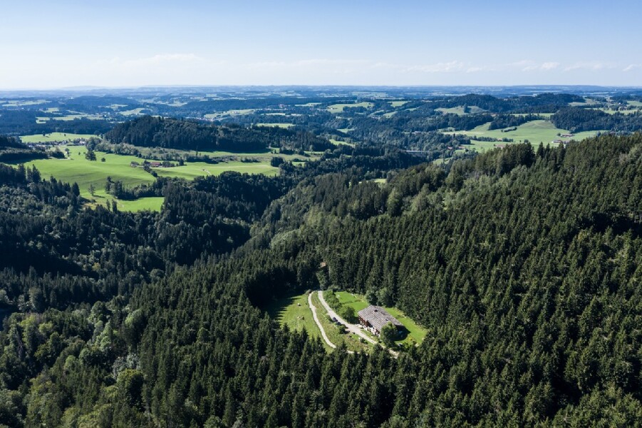 AnsitzHphenegg Lichtung (3)
