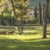 Villa Paradiso Spoleto 028