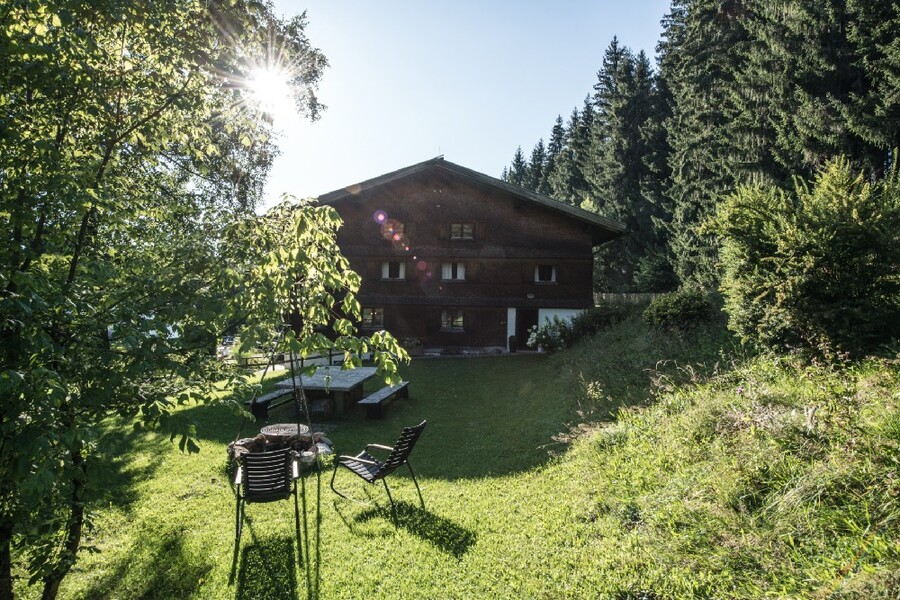 AnsitzHphenegg Lichtung (5)