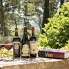 Rotweine aus Umbrien in der Villa Paradiso in Italien