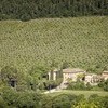 Villa Paradiso mit Olivenhain in Umbrien Italien