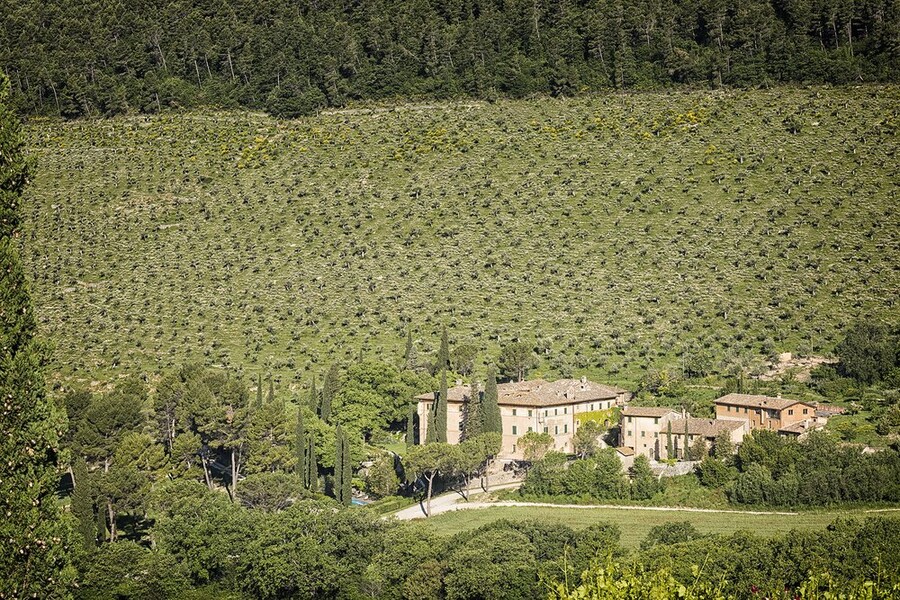 Villa Paradiso mit Olivenhain in Umbrien Italien